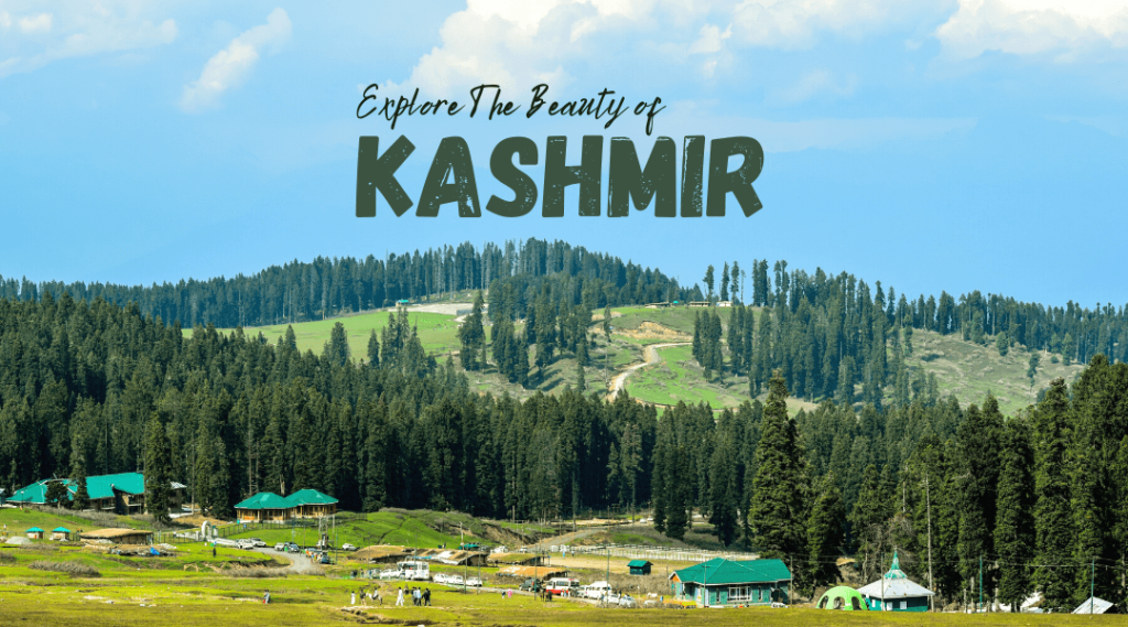 Kashmir tour